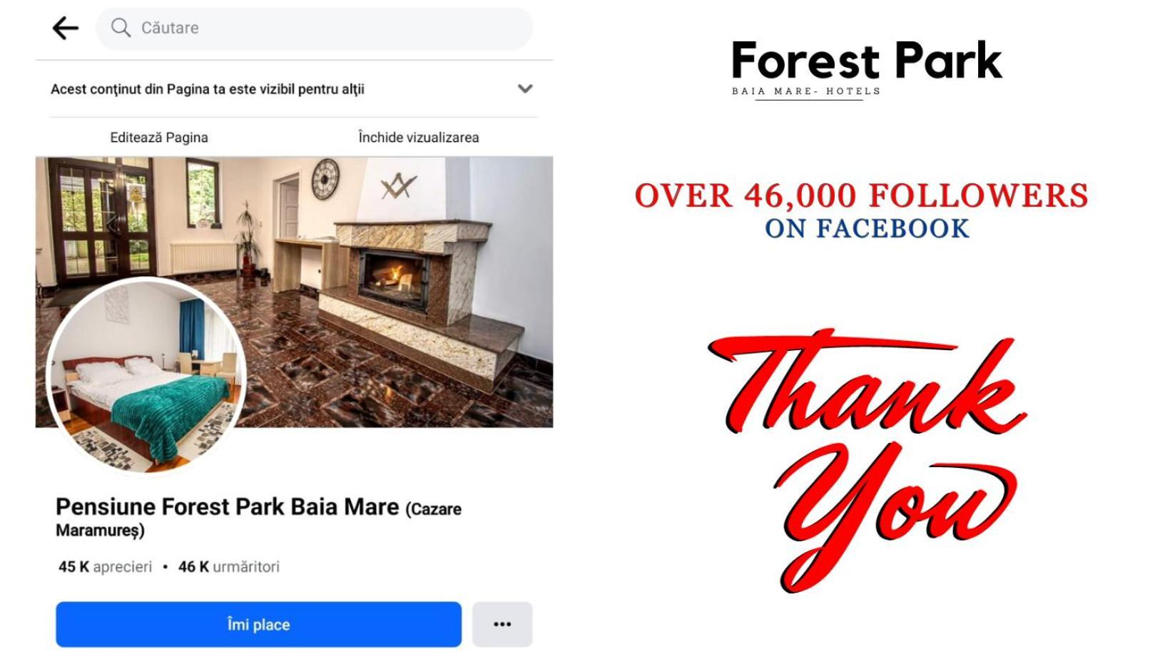 Pensiune Forest Park بايا ماري المظهر الخارجي الصورة